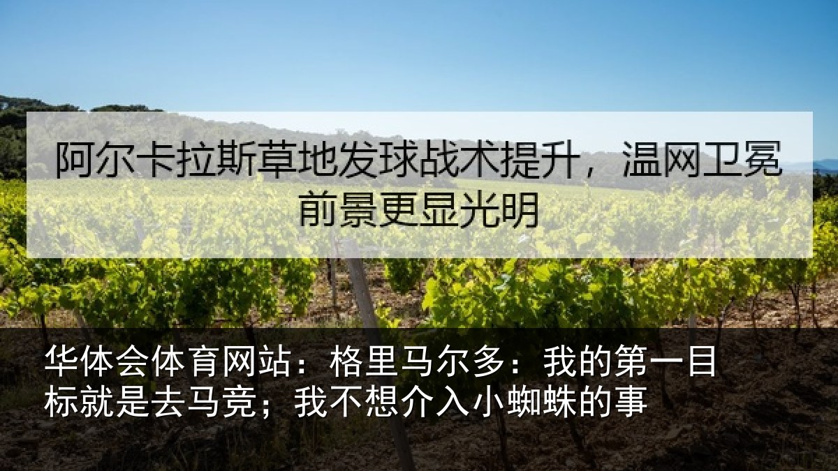 华体会体育网站：格里马尔多：我的第一目标就是去马竞；我不想介入小蜘蛛的事
