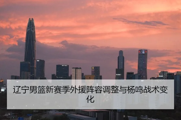 辽宁男篮新赛季外援阵容调整与杨鸣战术变化