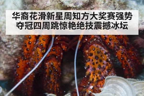 华裔花滑新星周知方大奖赛强势夺冠四周跳惊艳绝技震撼冰坛