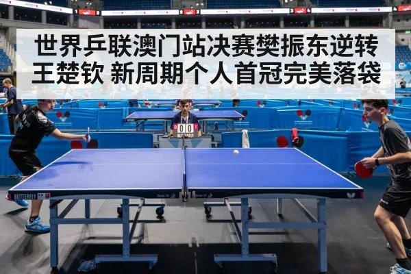 世界乒联澳门站决赛樊振东逆转王楚钦 新周期个人首冠完美落袋
